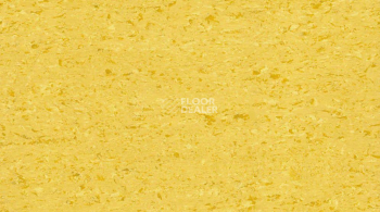 Линолеум Gerflor Mipolam Accord 0322 CINTO фото 1 | FLOORDEALER